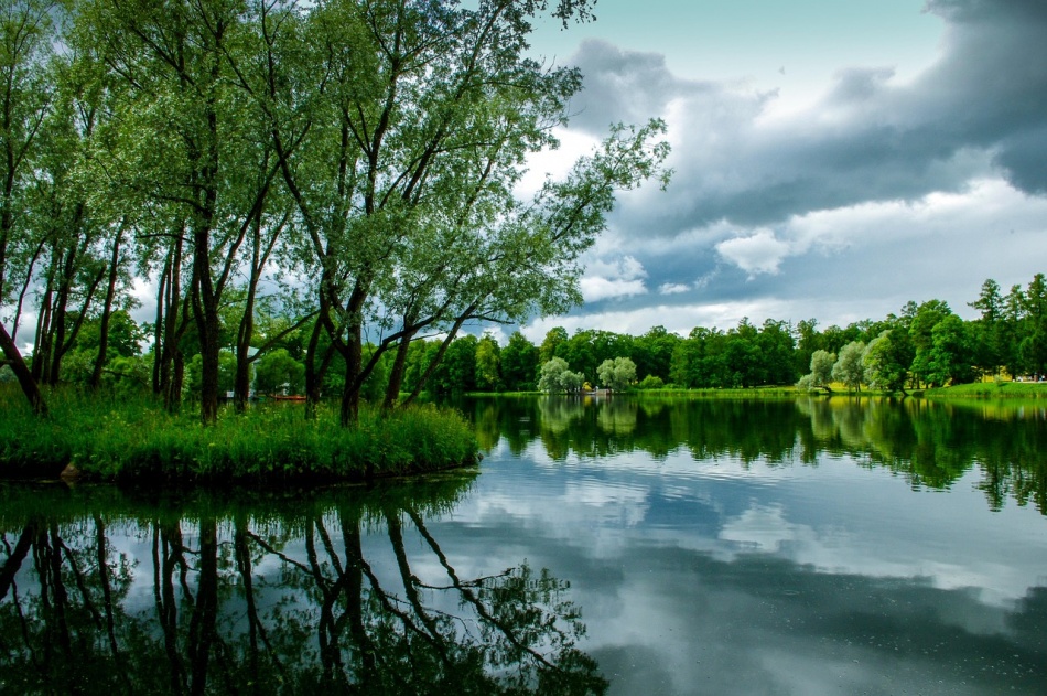 День рождения Горшка, фестиваль «Музыки мира» и выступление Сатьи Дас: афиша Петербурга на неделю